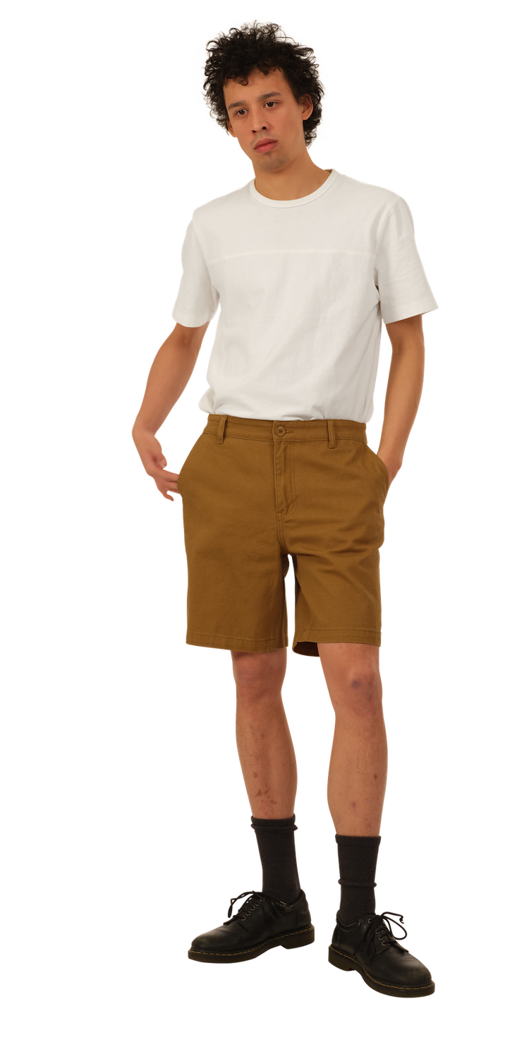 Warm Brown