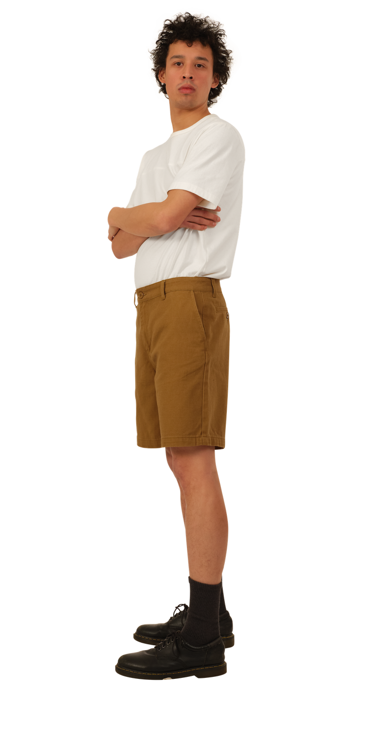 Warm Brown